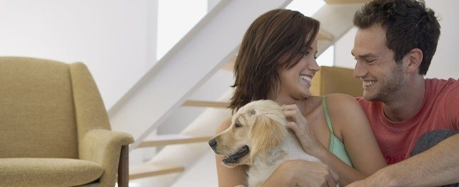 Millennials Send Real Estate to the Dogs